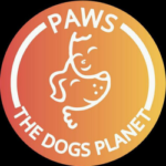 Digital Marketing Course by Digital Poonam Paws