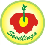 Digital Marketing Course by Digital Poonam Seedlings